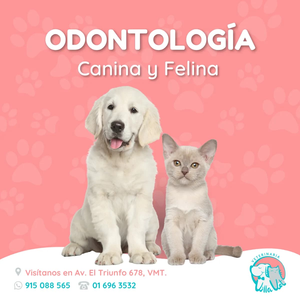 Veterinaria Villa Vet Villa María del Triunfo
