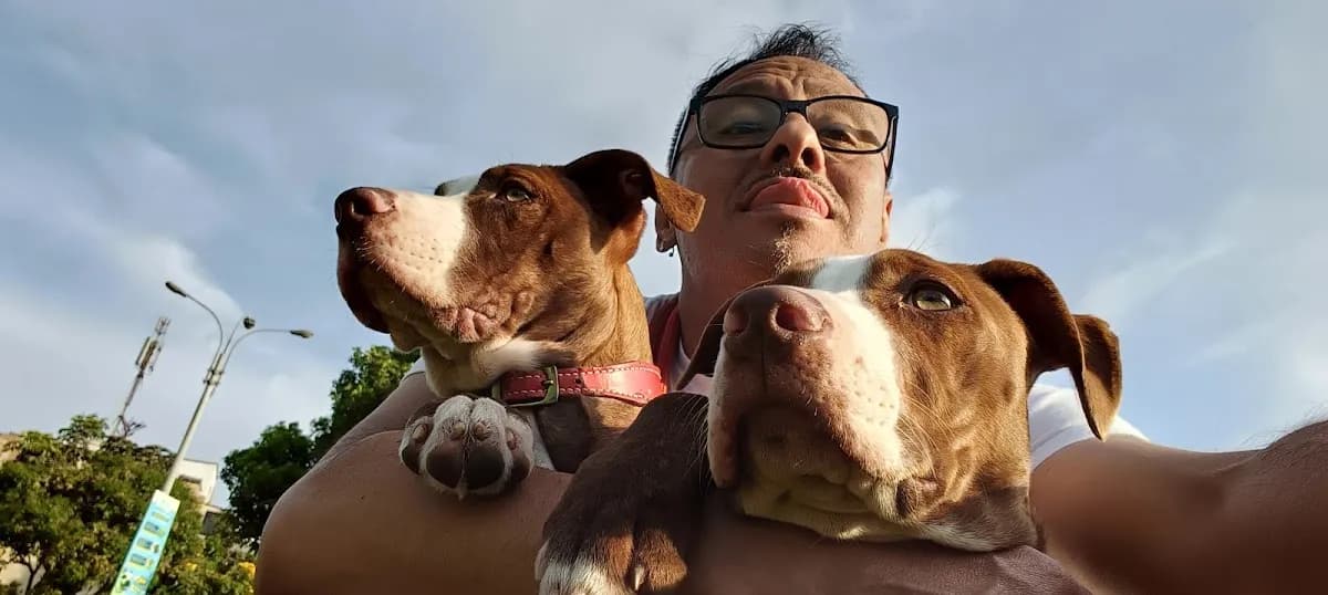 Veterinaria & Spa Animal Kingdom
