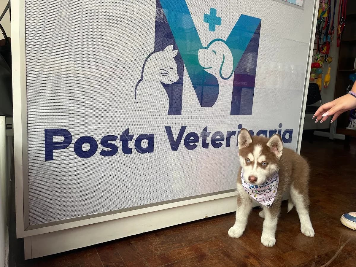 Posta Veterinaria MV callao