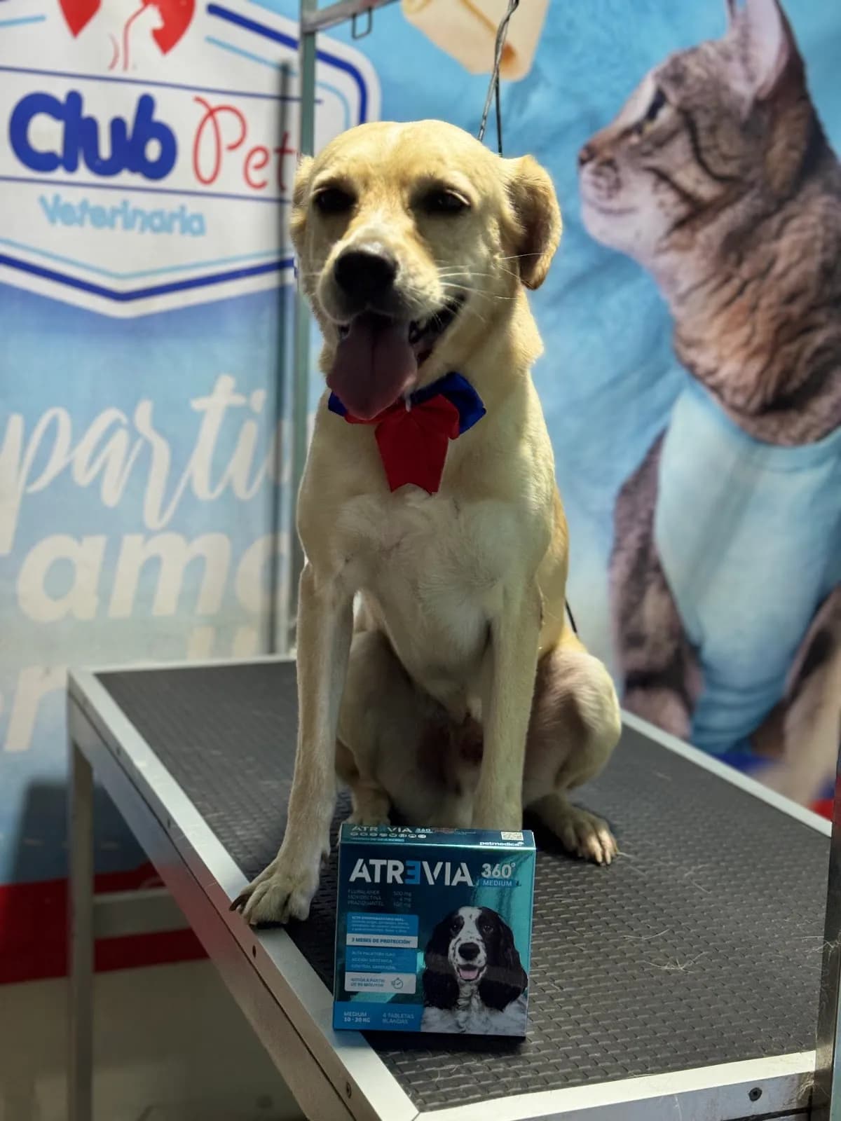 EL CLUB PET VETERINARIA