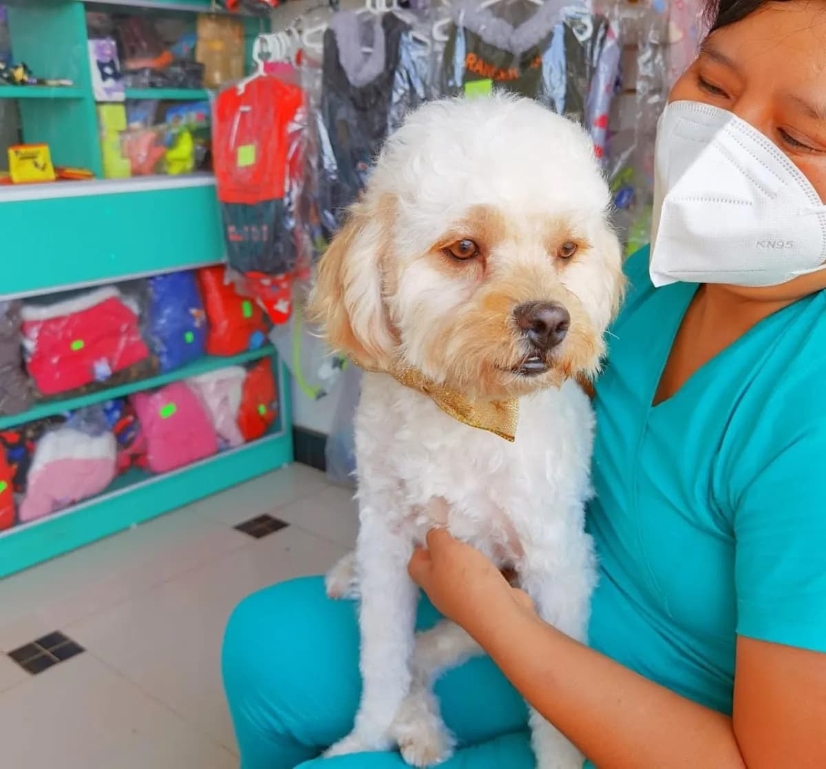 Veterinaria Animal Center Guerrero