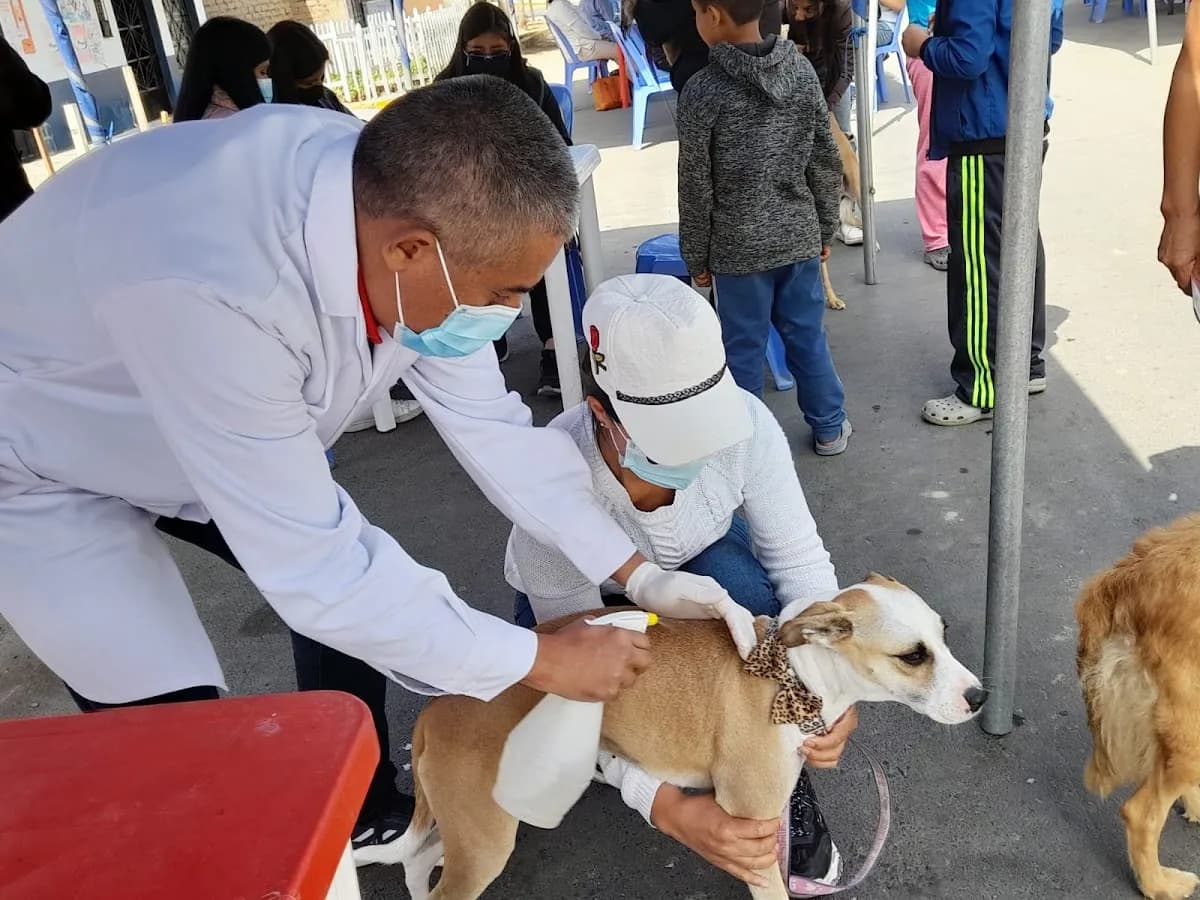 Veterinaria Rospigliosi