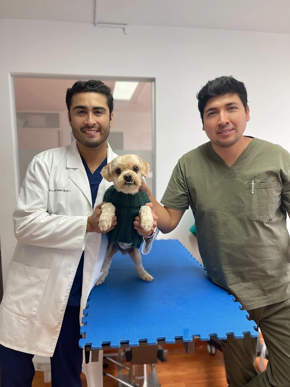 Clovet | Servicio de Oftalmología Veterinaria