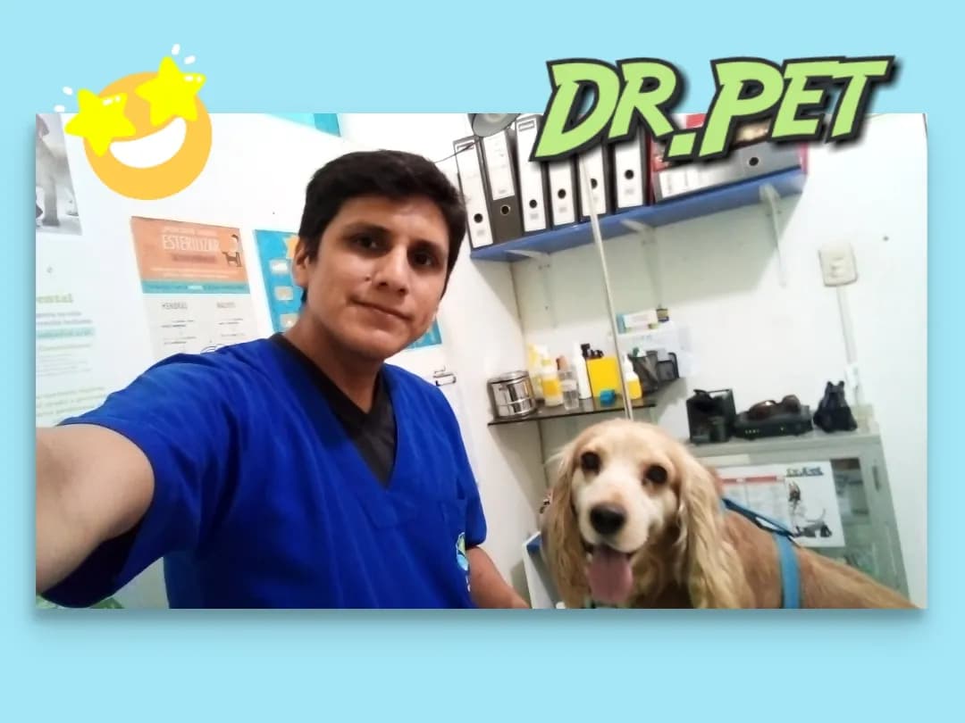Consultorio Veterinario Dr.Pet