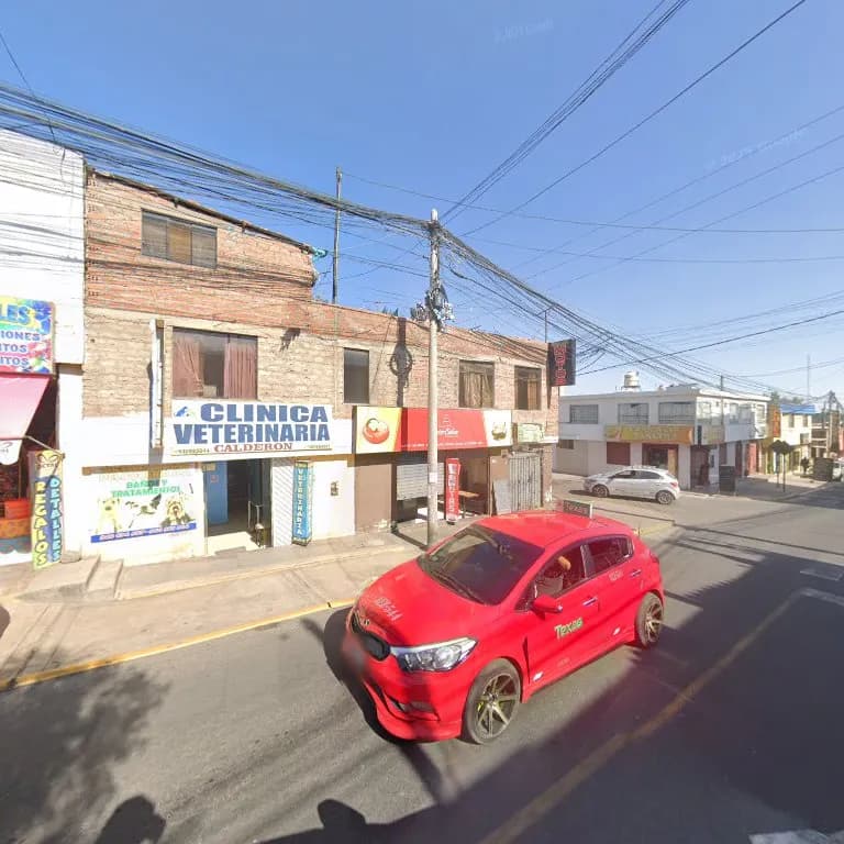 CLINICA VETERINARIA CALDERÓN
