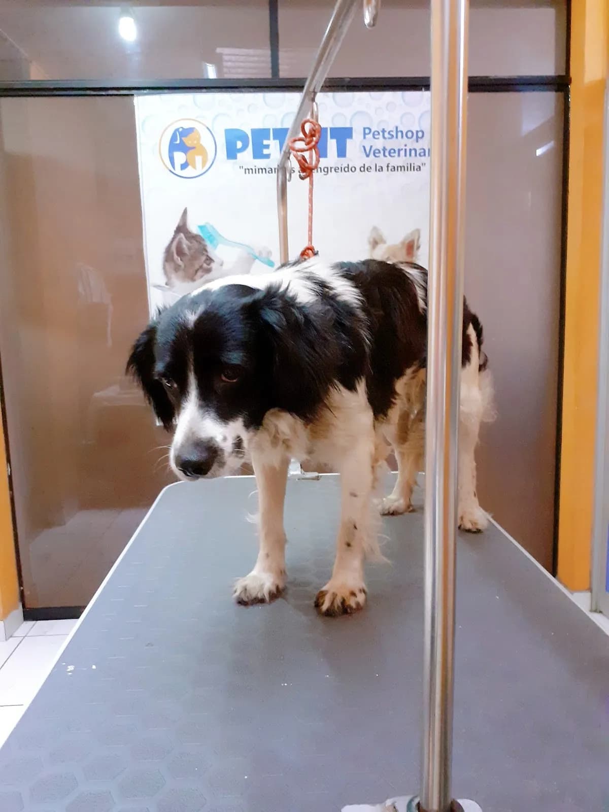 Petshop Veterinaria Pet It