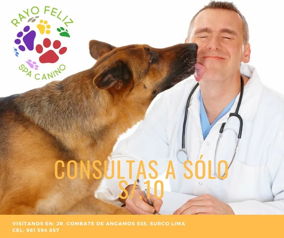 Rayo Feliz - SPA Canino
