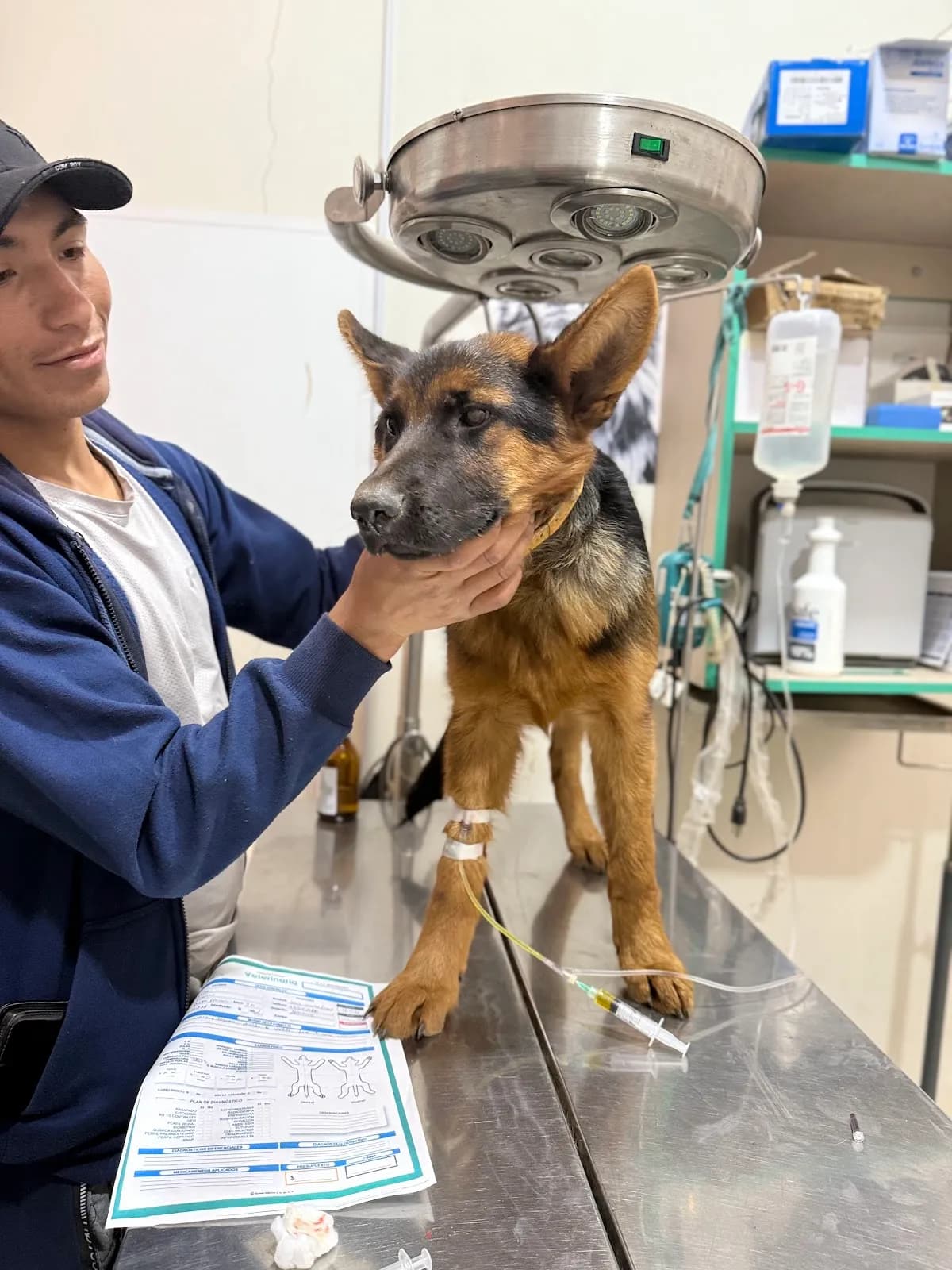 Veterinaria Consentidos