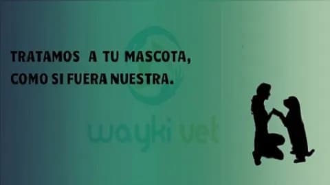 WAYKI VET Consultorio Veterinario