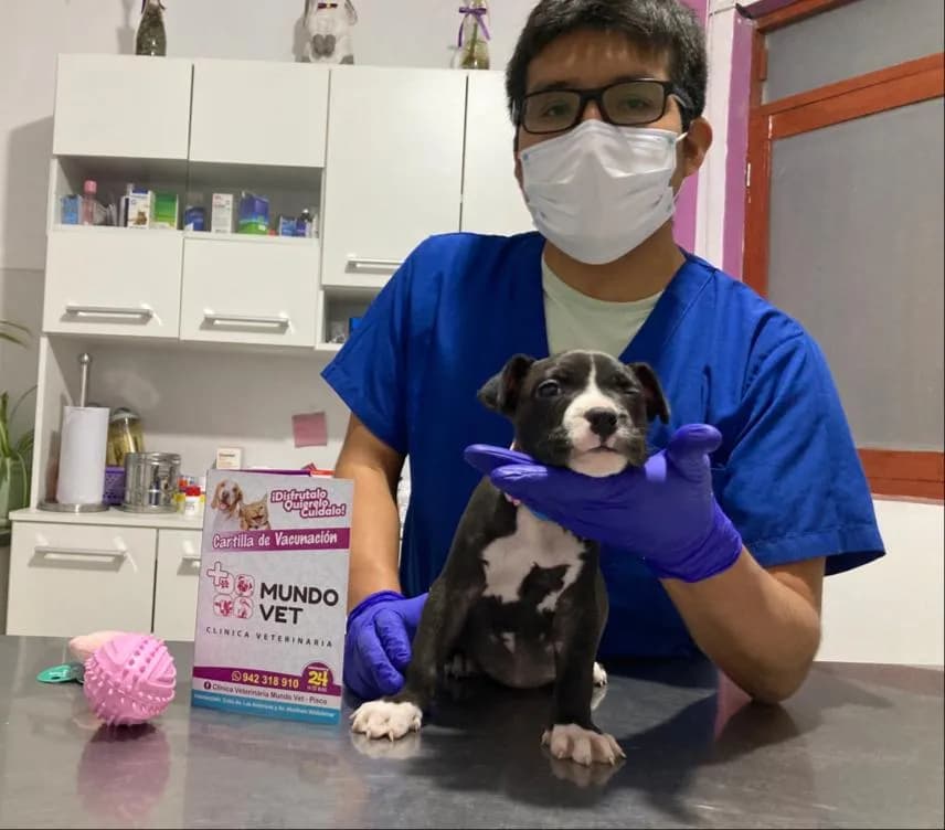 Clínica Veterinaria Mundo Vet