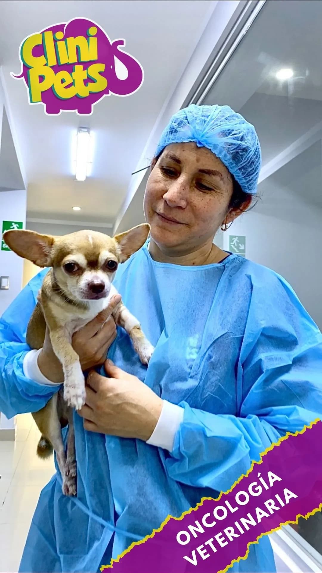 Clini Pets Emergencias - Jardines del golf