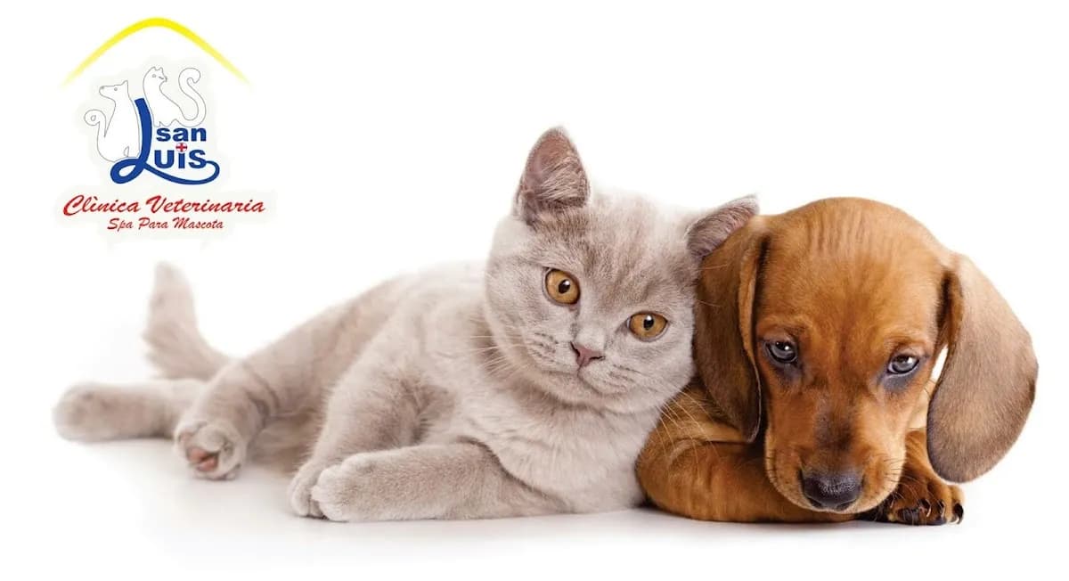 Clinica Veterinaria San Luis Sede Hunter