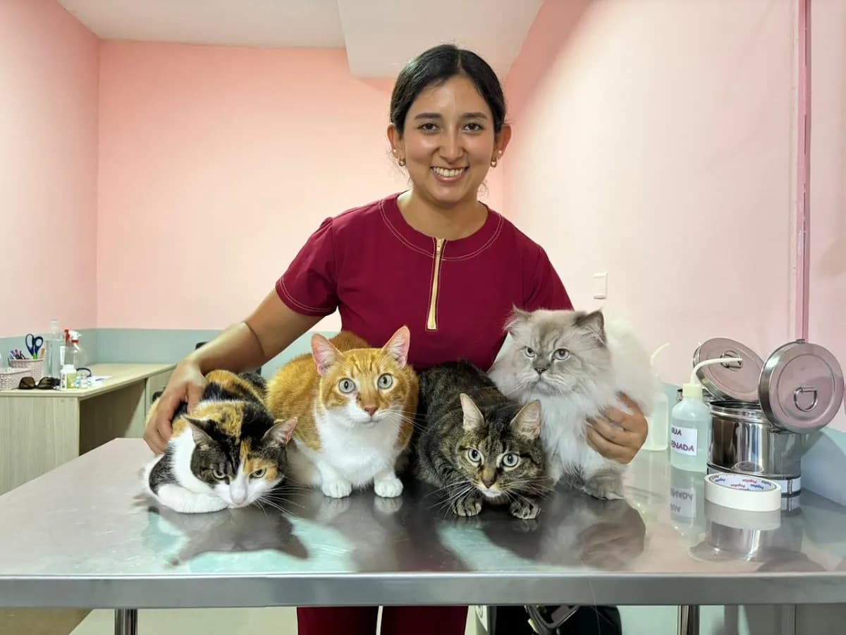 Vetericats Clínica Veterinaria