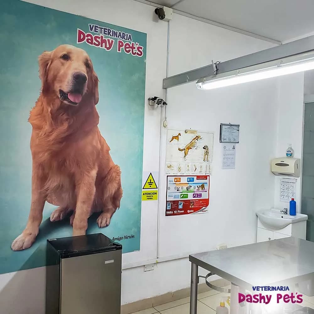 Clínica Veterinaria Dashy Pet's