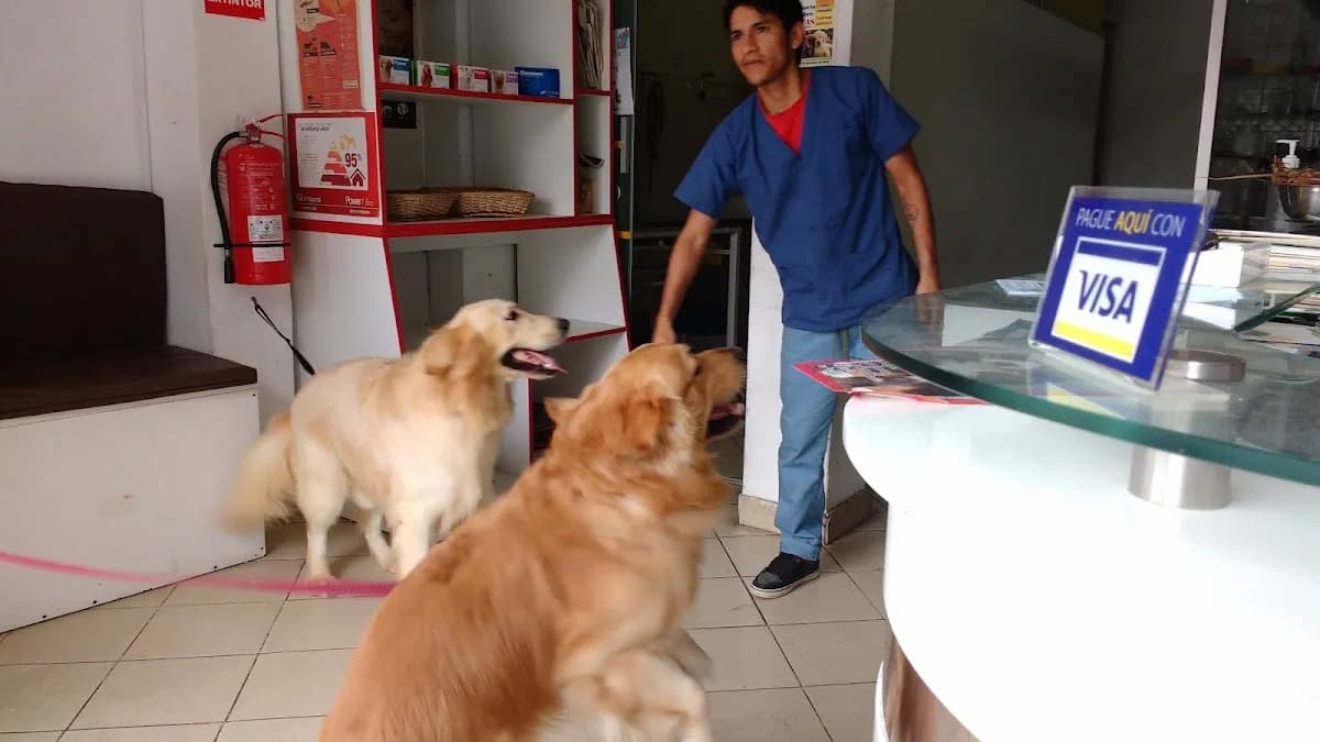 Veterinaria Dogtor Grooming