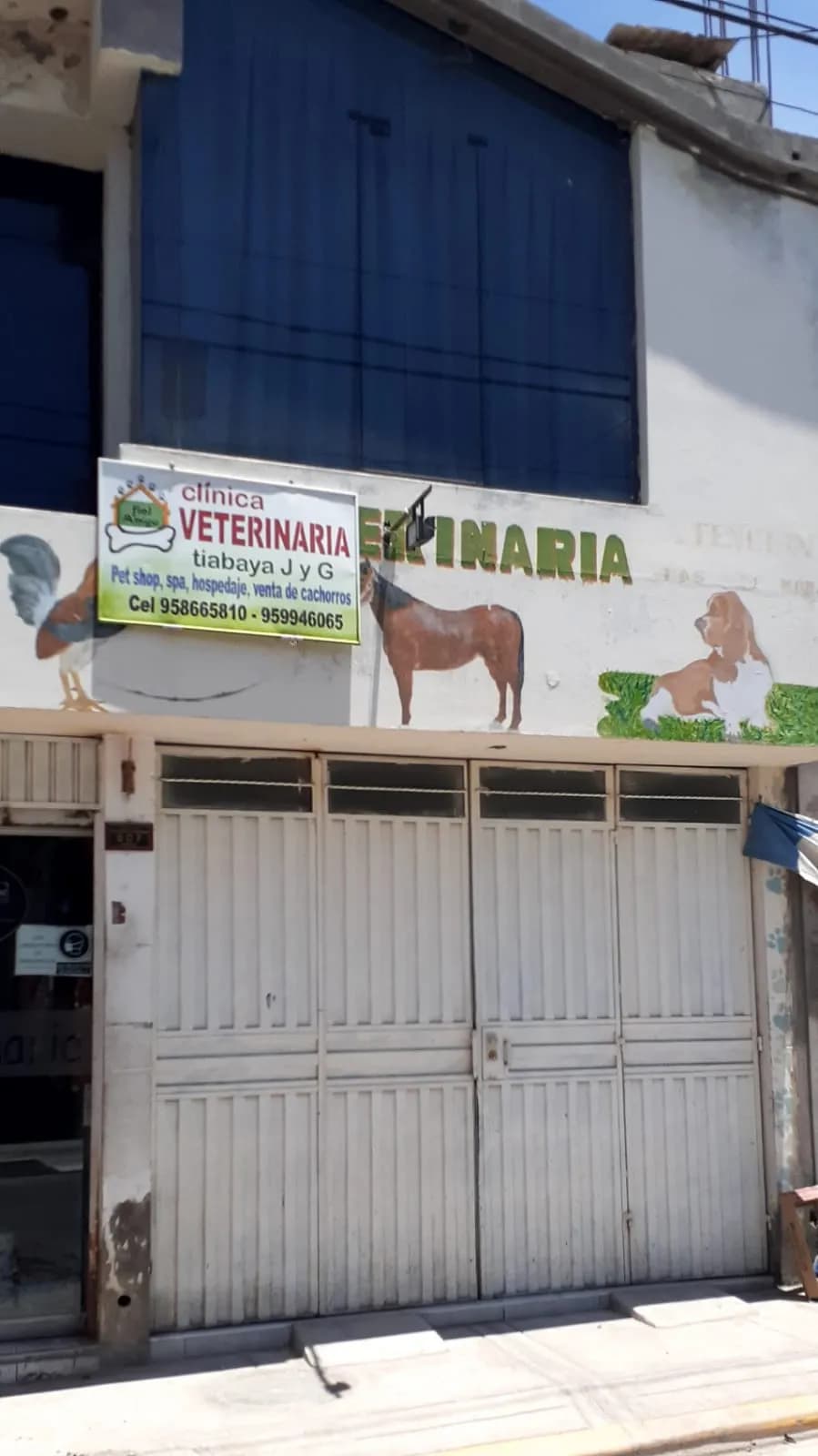 Clinica Veterinaria J y G Tiabaya