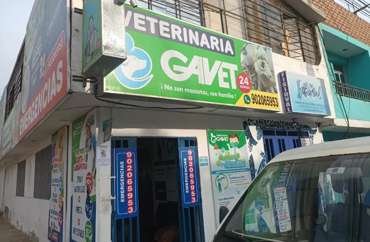 Clínica Veterinaria GAVET - Mi Peru