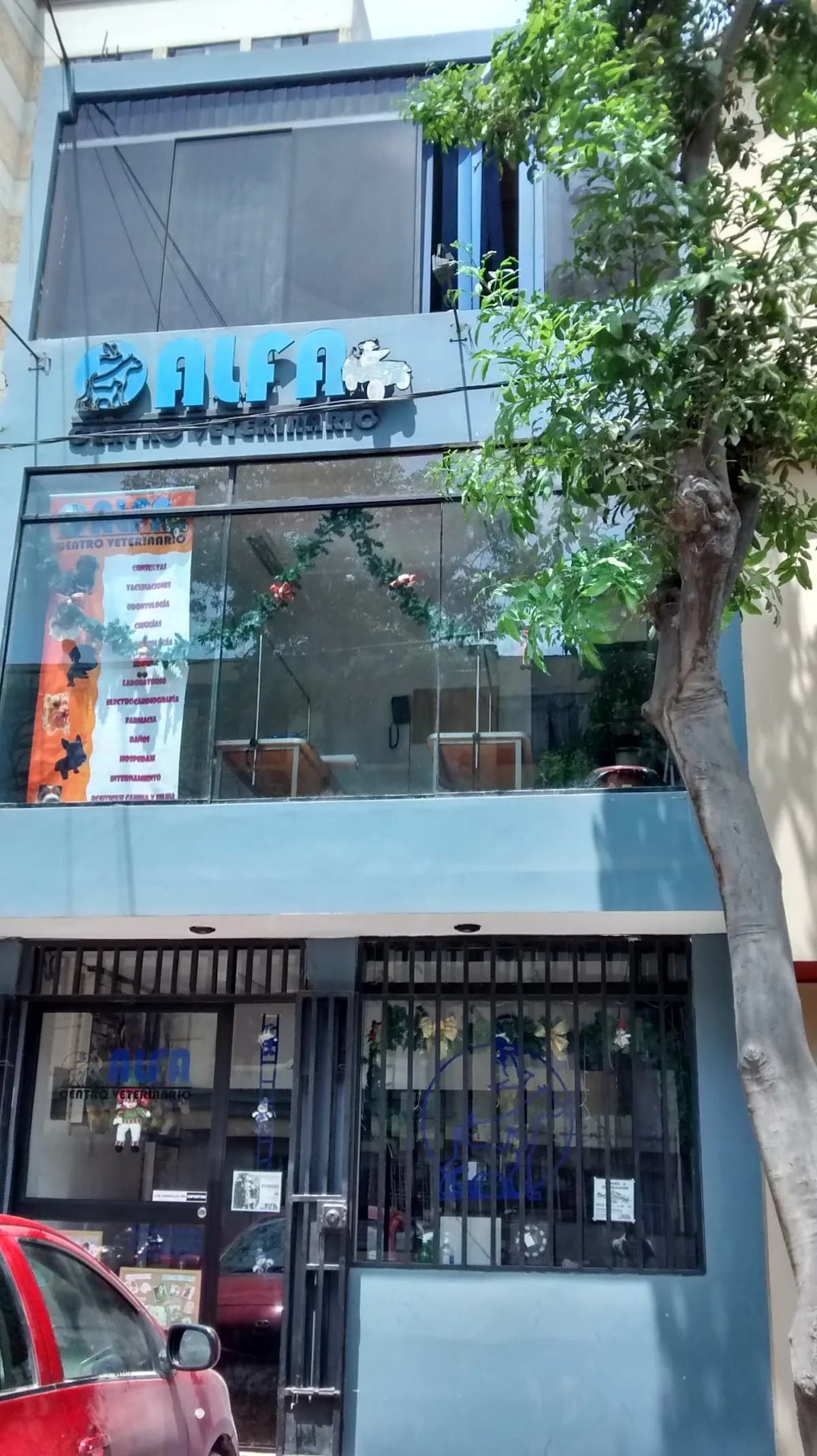 CENTRO VETERINARIO ALFA