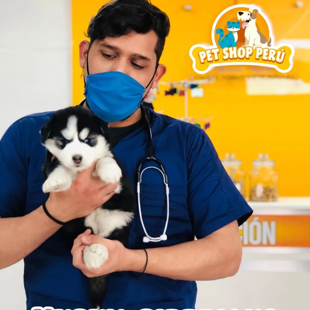 Veterinaria Pet Shop Perú
