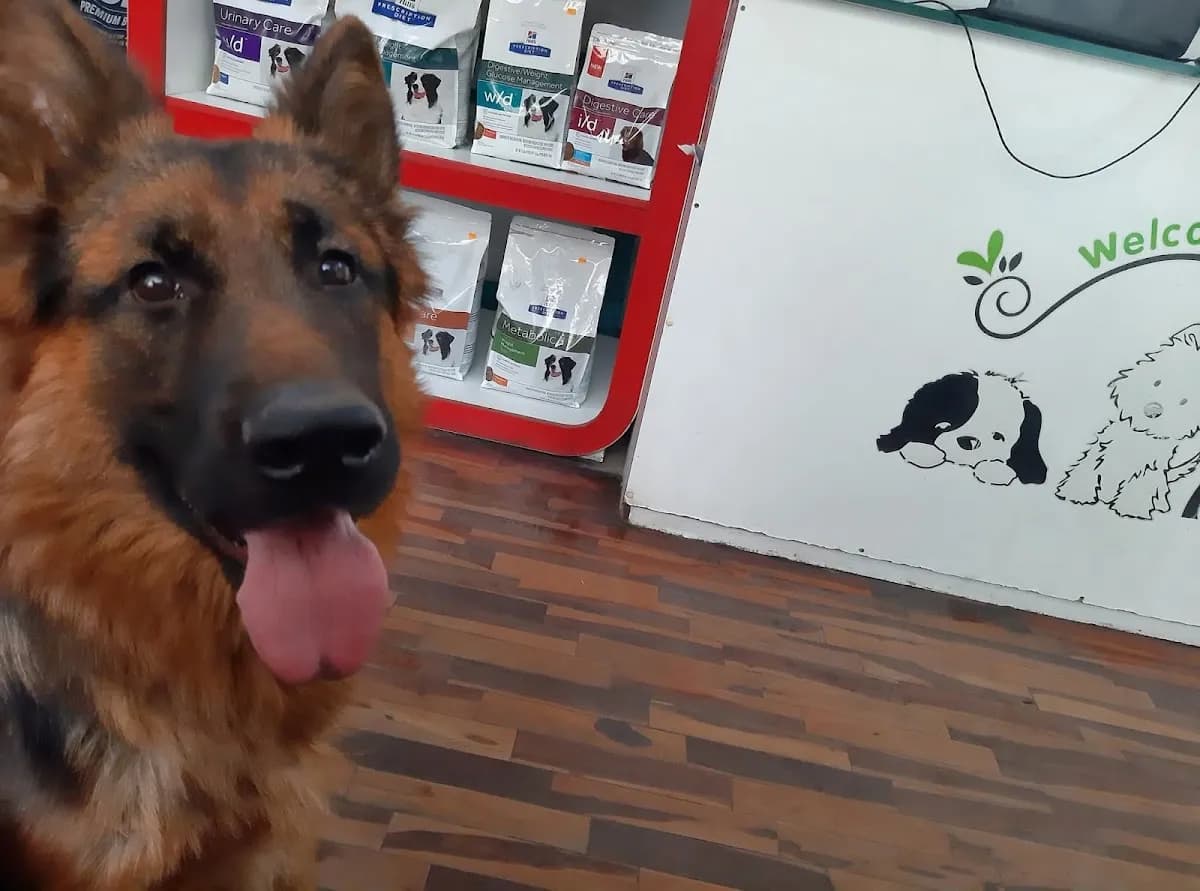 Clínica Veterinaria Pets Community