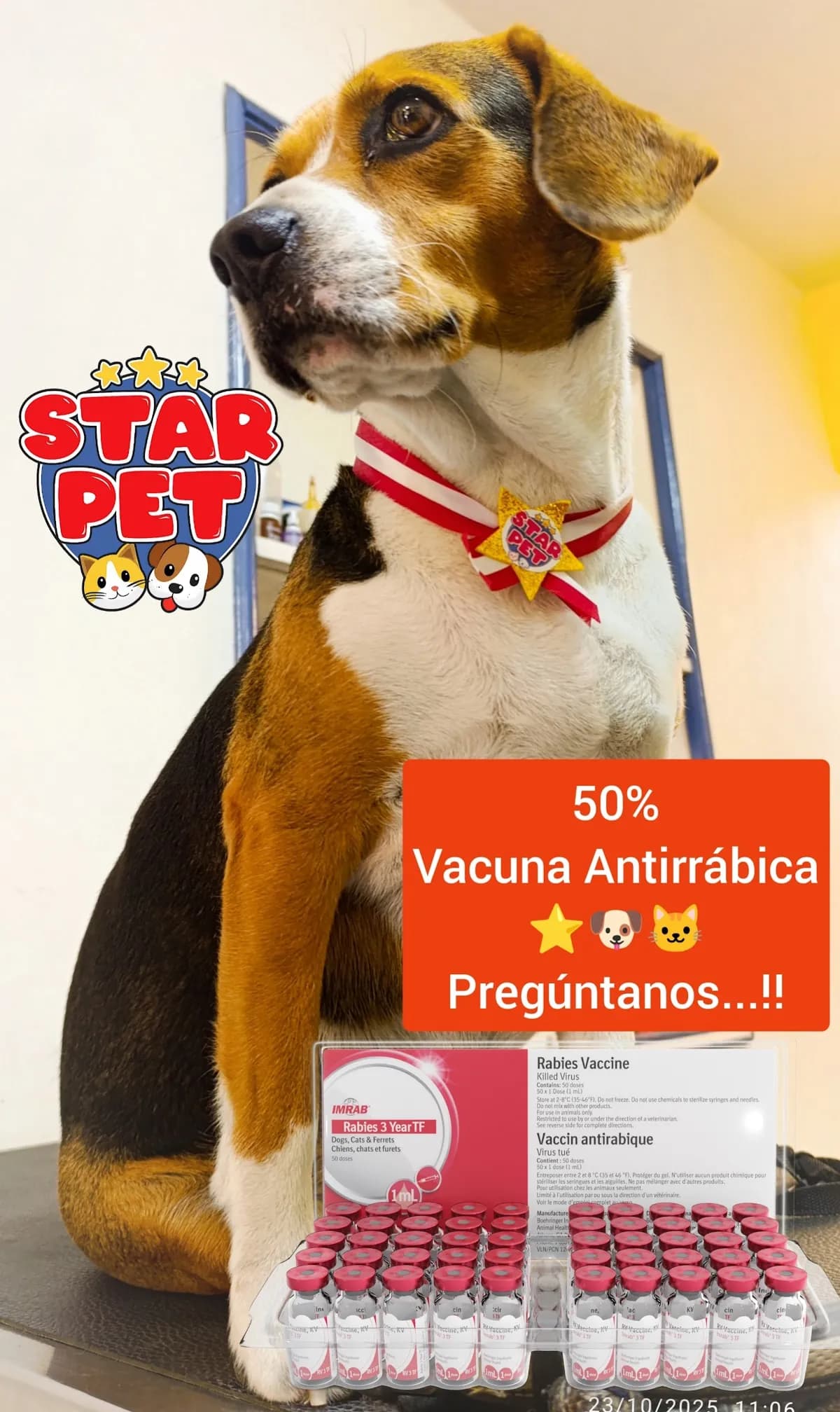 StarPet⭐🐶🐱Atención Veterinaria. Baños y Peluquería canina. Urgencias 24 horas y Atención a domicilio