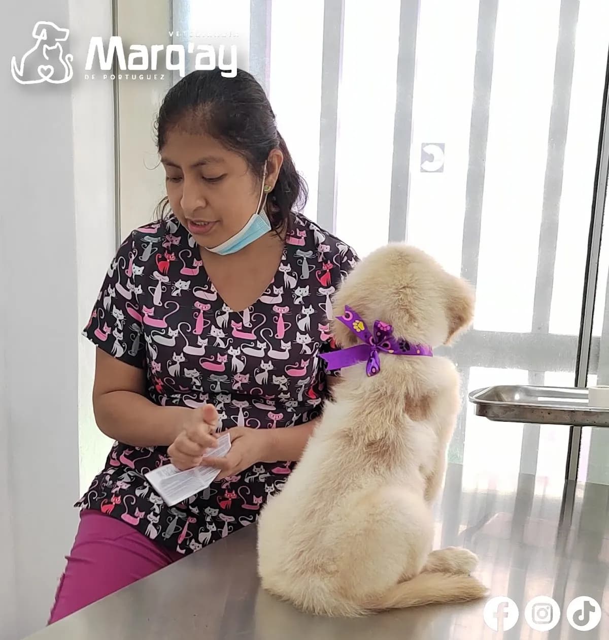 Veterinaria Marq'ay de Portuguez