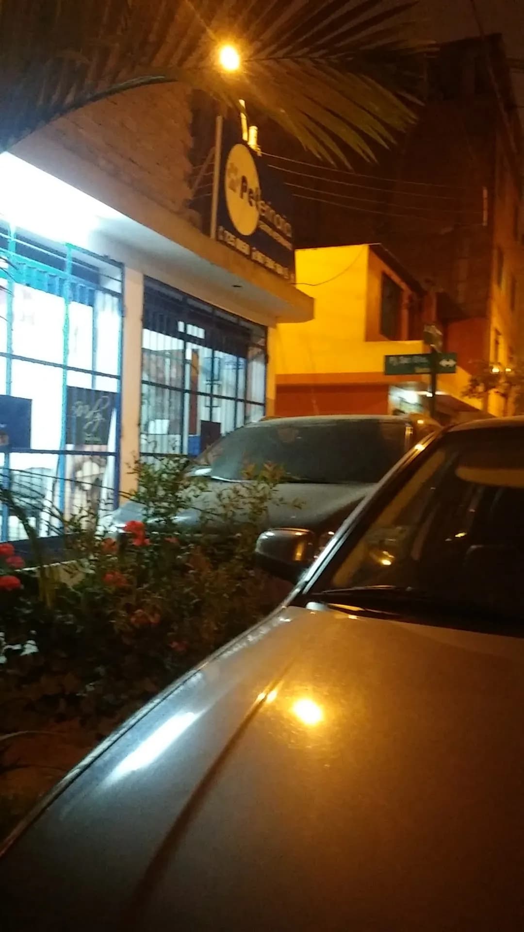 Veterinaria Peterinaria Surco