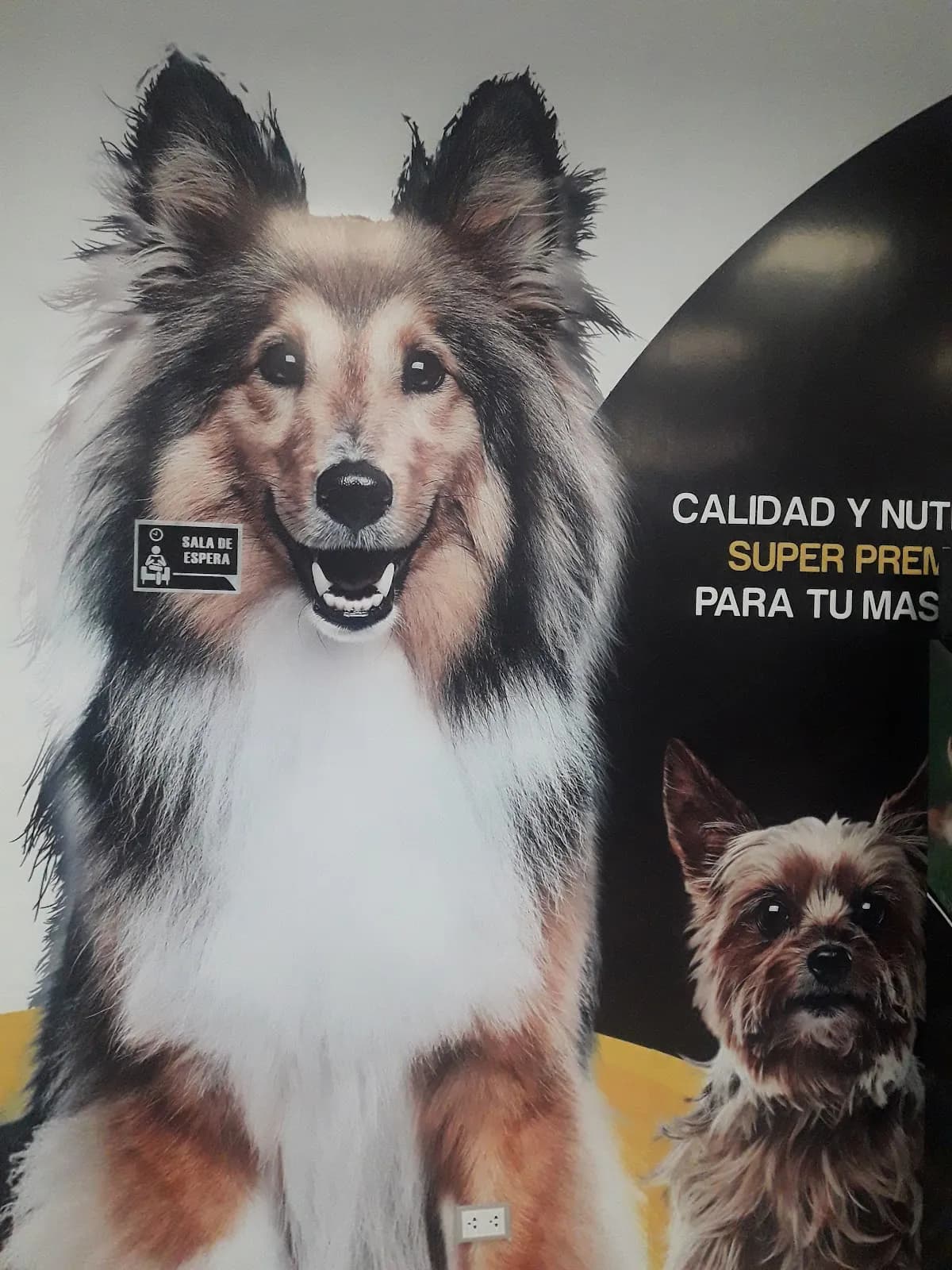 Clinica Veterinaria Cuatro Patas