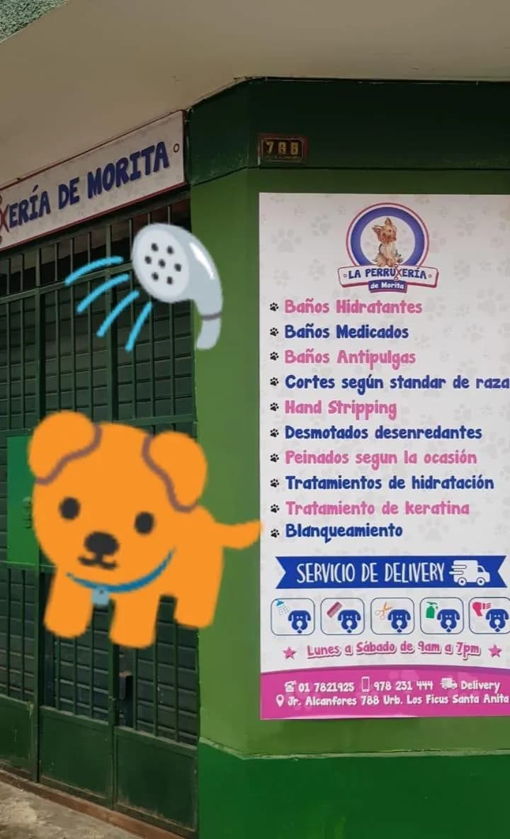 La perrukeria de morita