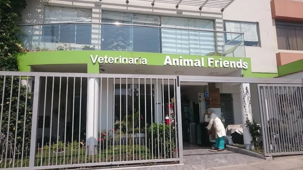 Clinica Veterinaria Animal Friends
