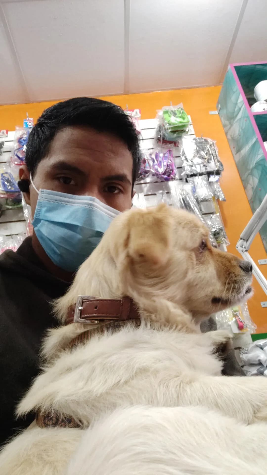 Veterinaria MacDog