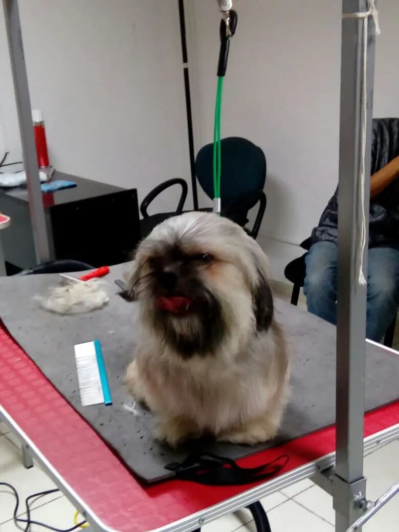 VETERINARIA "LA MERCED" (Tu Vet)
