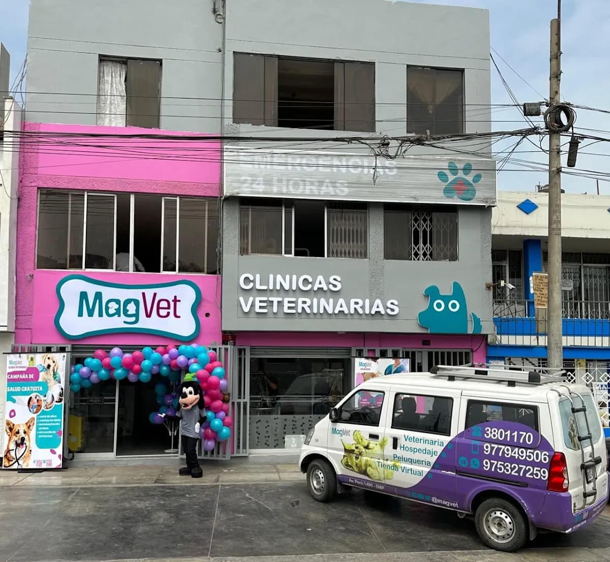 MAGVET IZAGUIRRE LOS OLIVOS