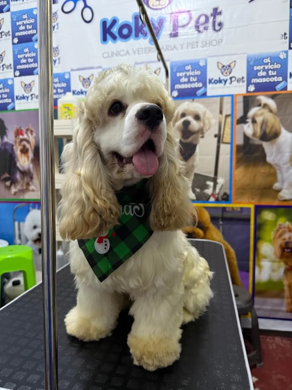 Clínica veterinaria Koky Pet