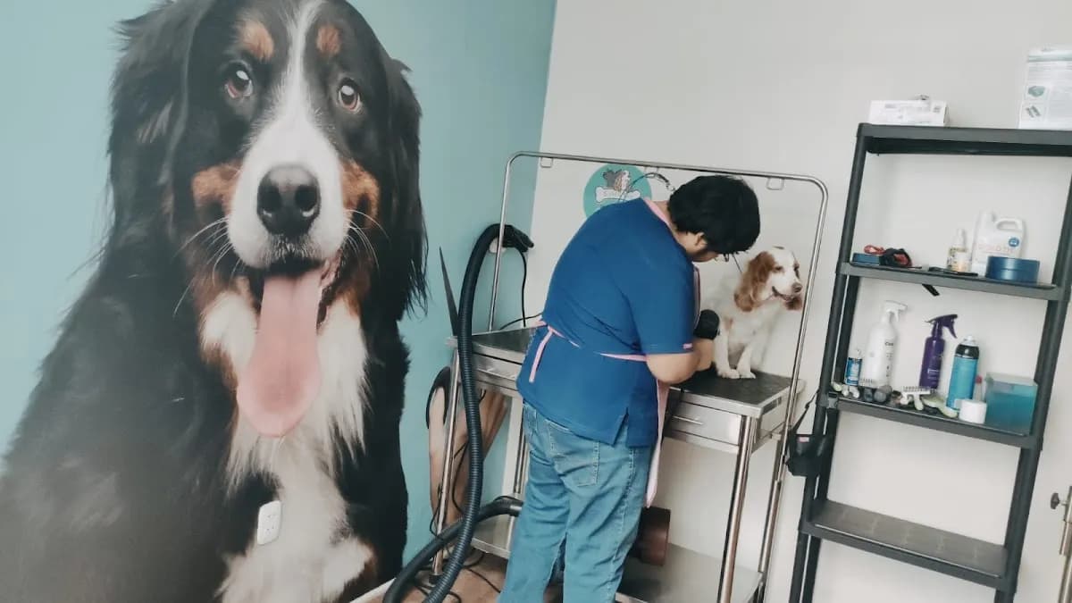 Veterinaria - Guardería Sawa Vet.