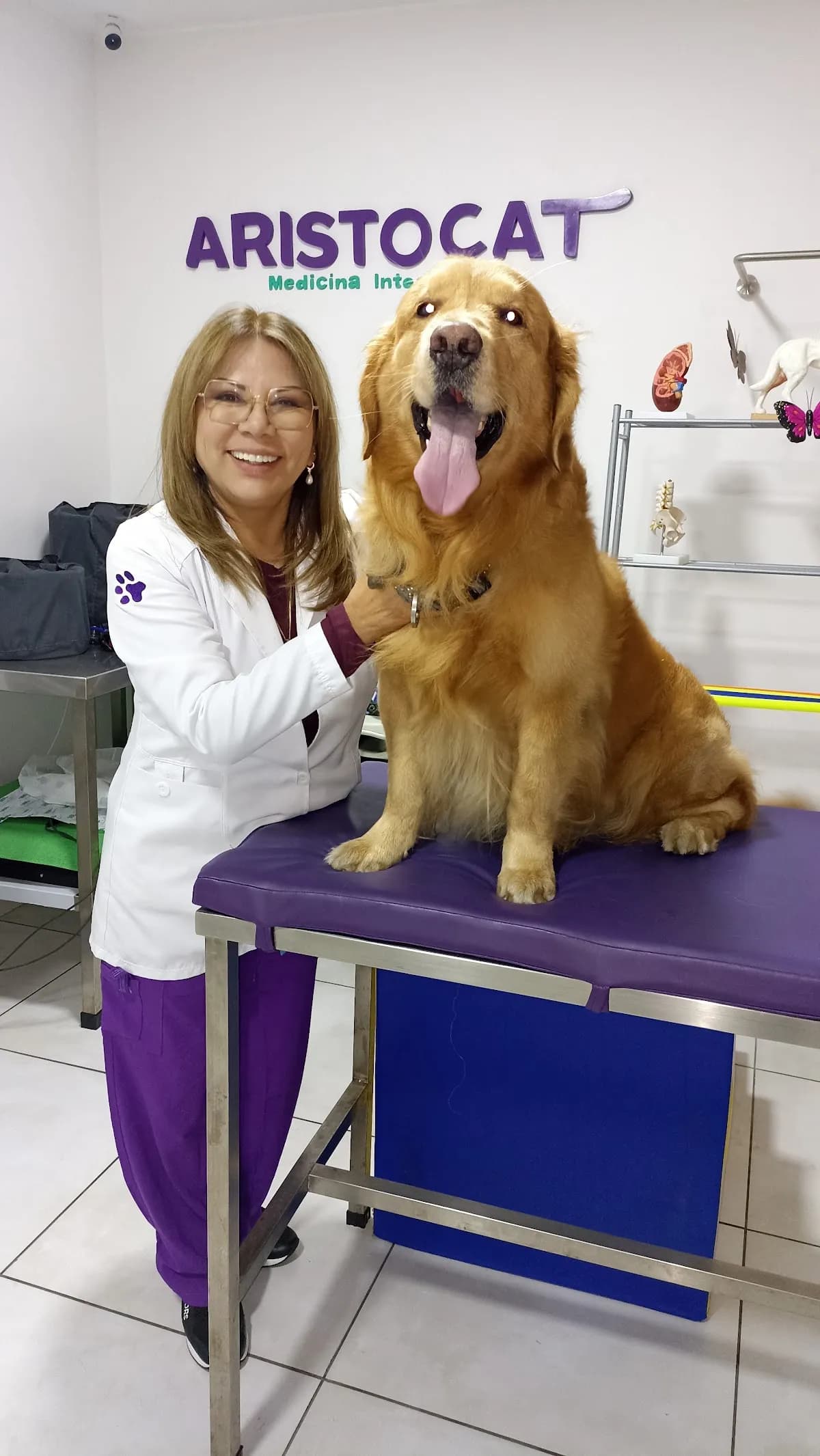 Clinica Veterinaria Aristocat Sede Jesús María