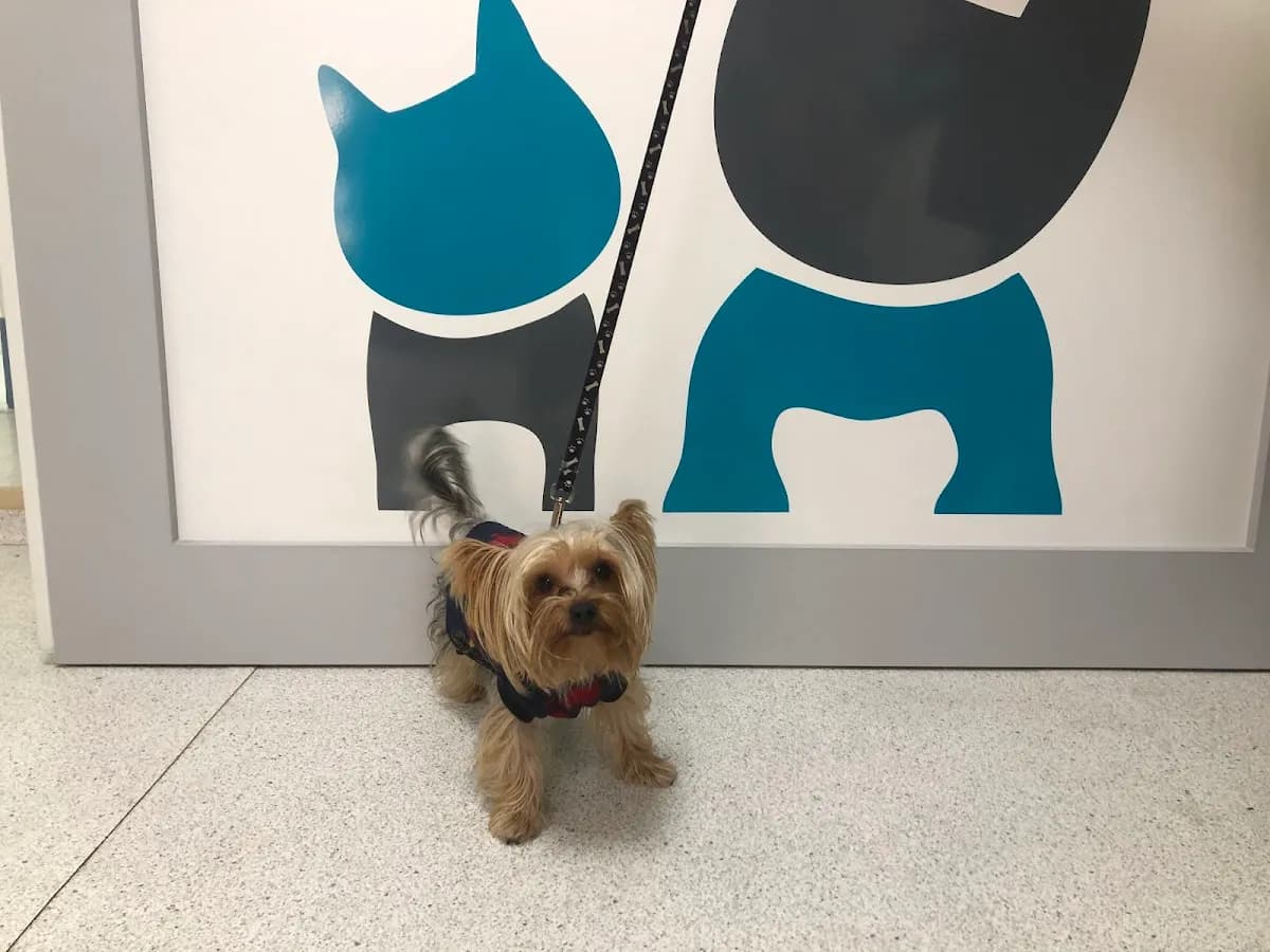 CANEM Clínica Veterinaria