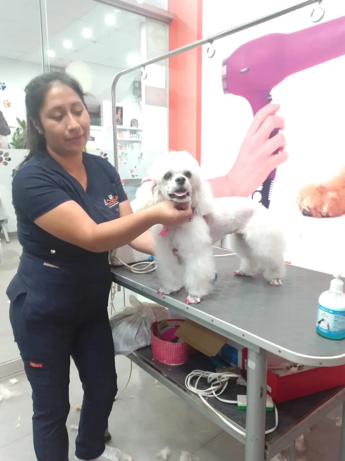 Clínica Veterinaria San Roque