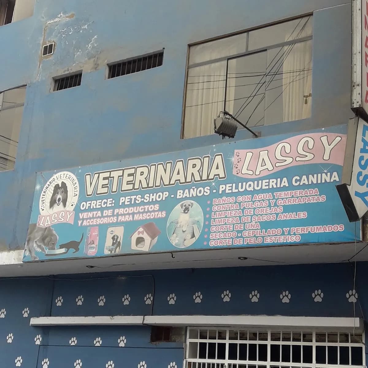 Veterinaria Lassy