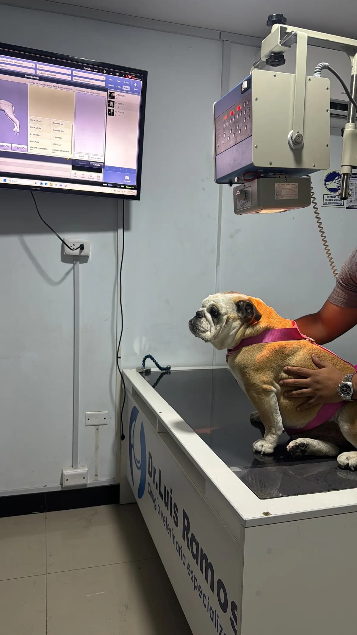 CIRUVET - Cirugía Veterinaria Especializada y Diagnóstico