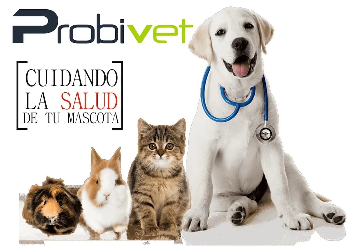 Hospital Veterinario PROBIVET