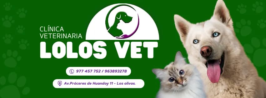 Clínica Veterinaria Lolos Vet