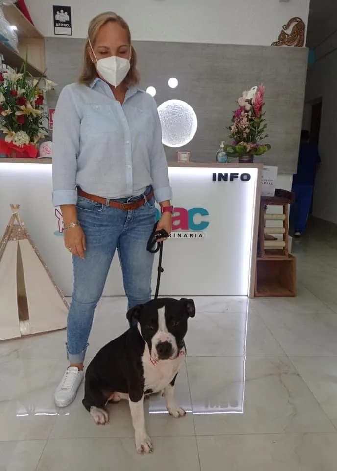 Clínica Veterinaria Walac Miraflores