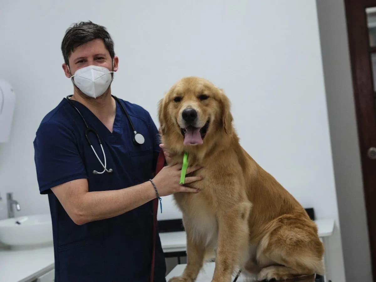 Veterinaria North