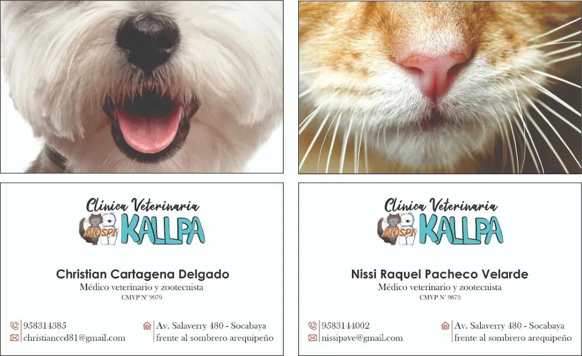 Clínica Veterinaria Diospi Kallpa