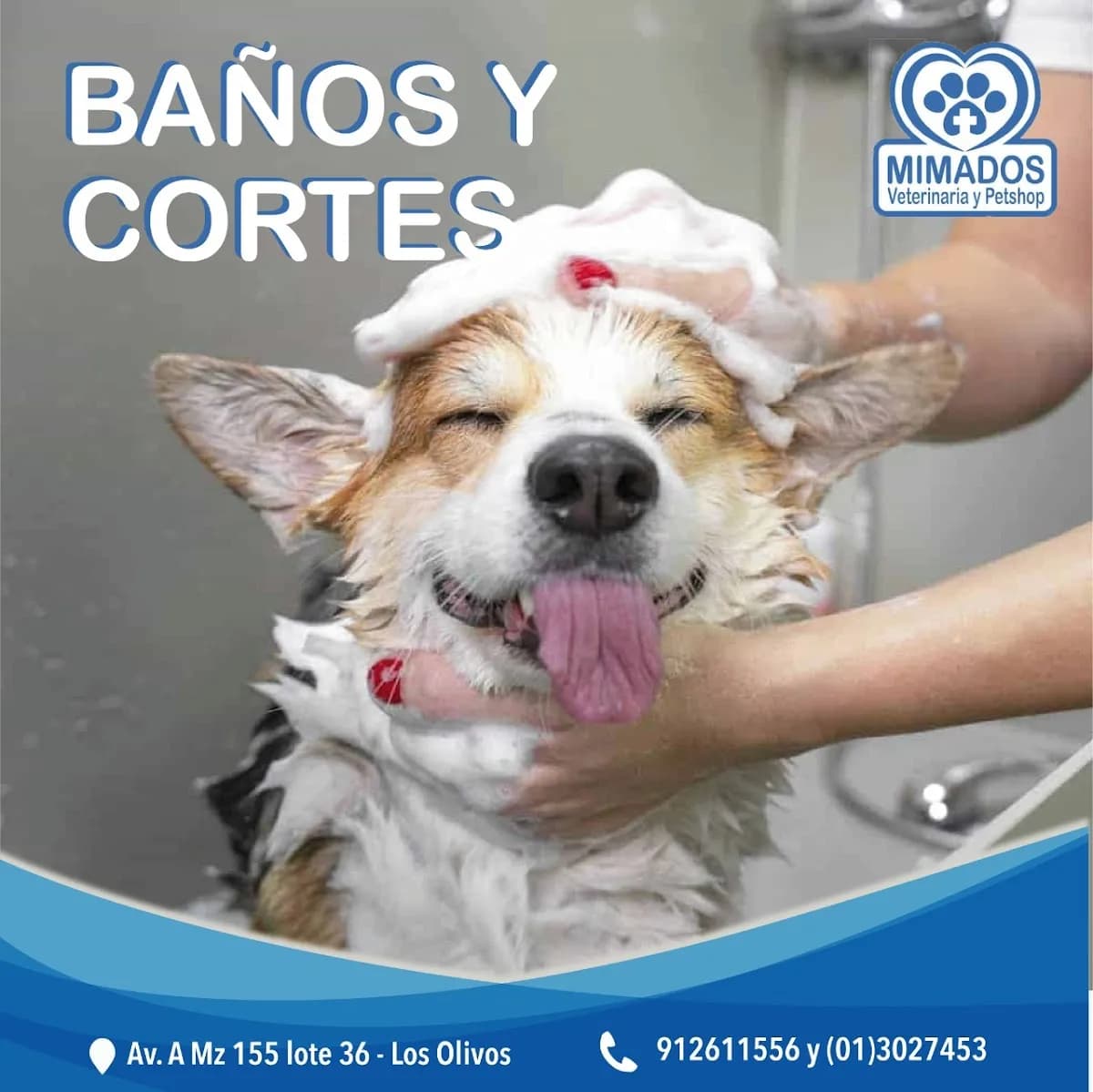 Veterinaria y Petshop Mimados