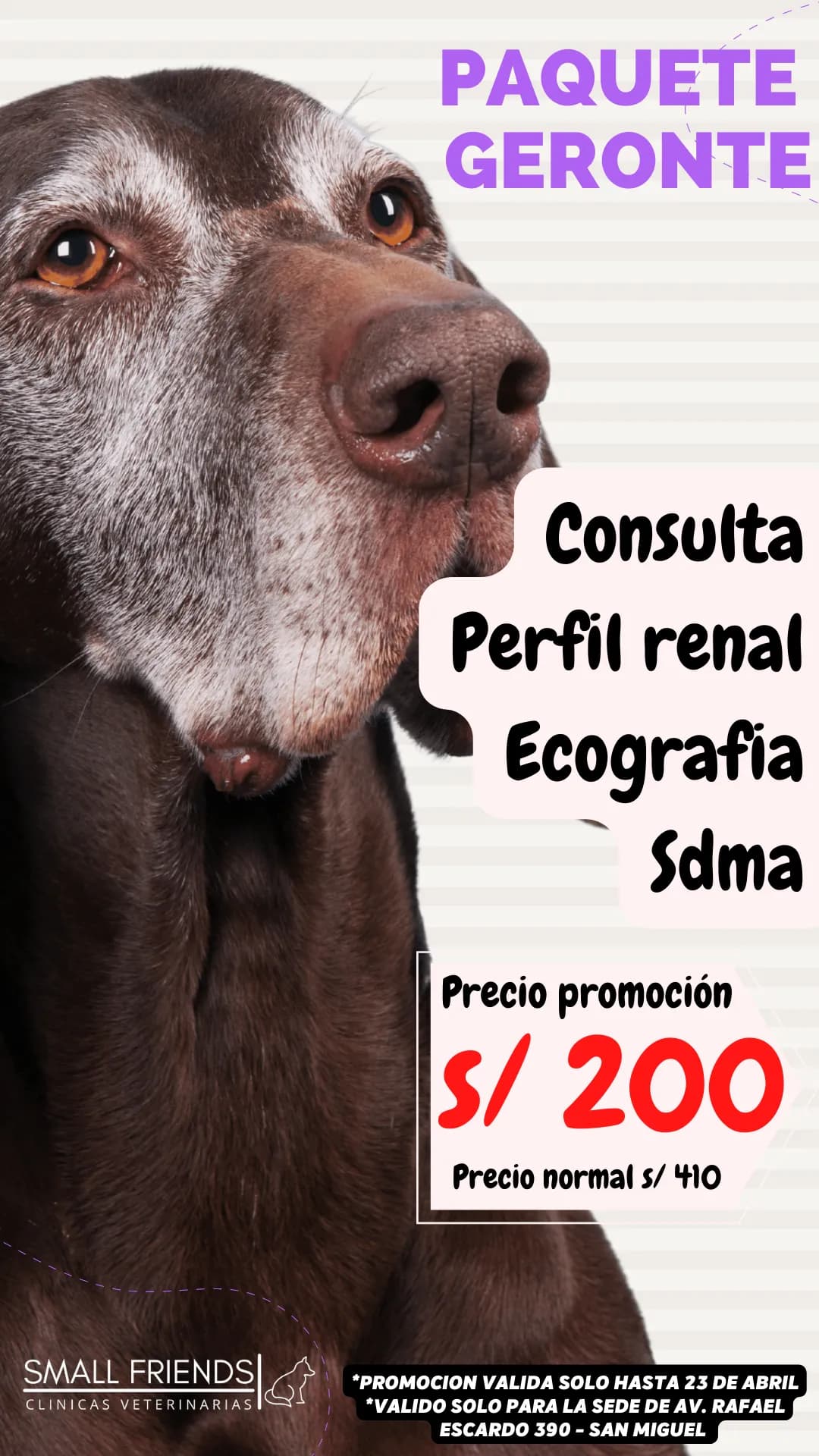 Veterinaria Small Friends Escardo