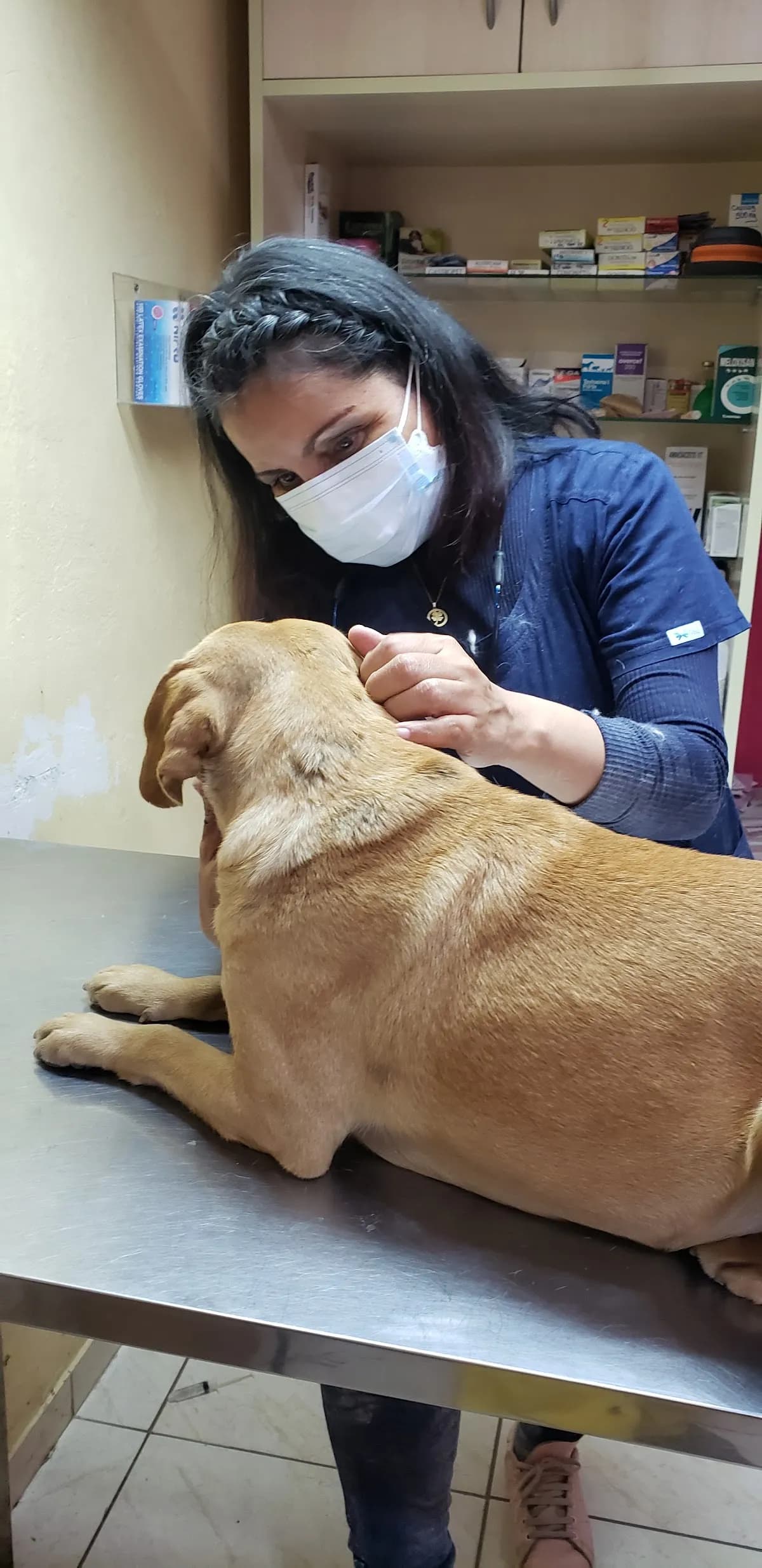 Urpi Clínica Veterinaria