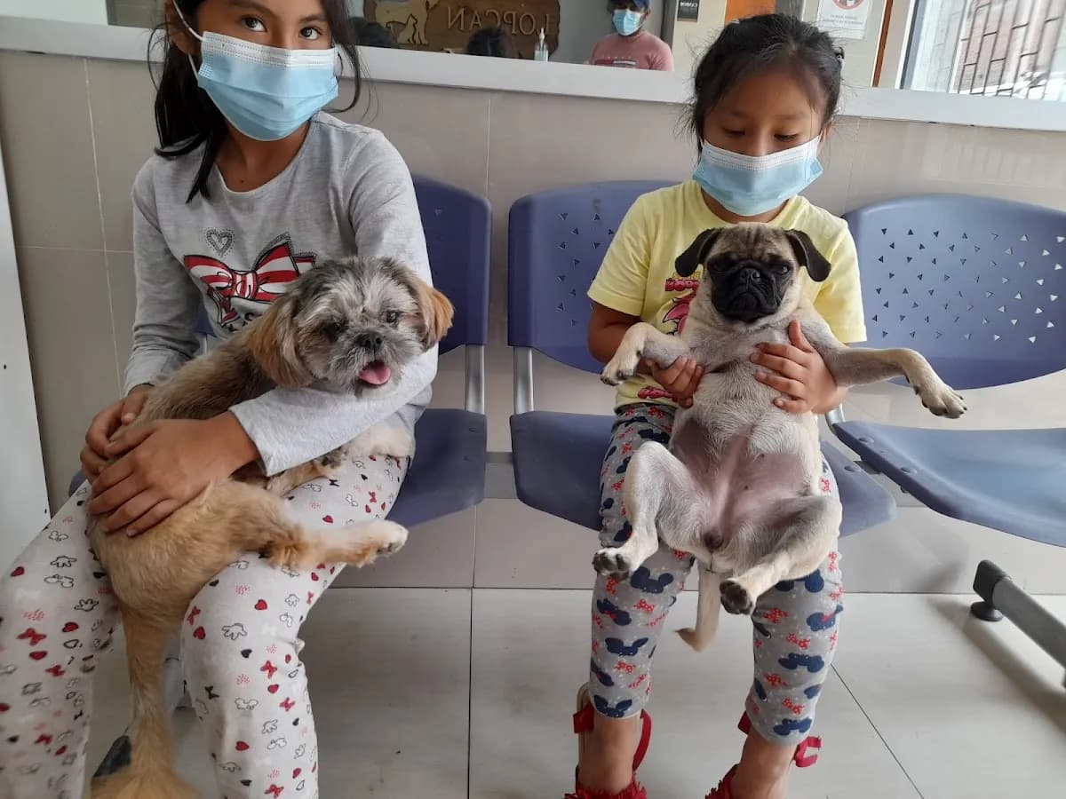 Veterinaria Lopcan ( Villa el Salvador )
