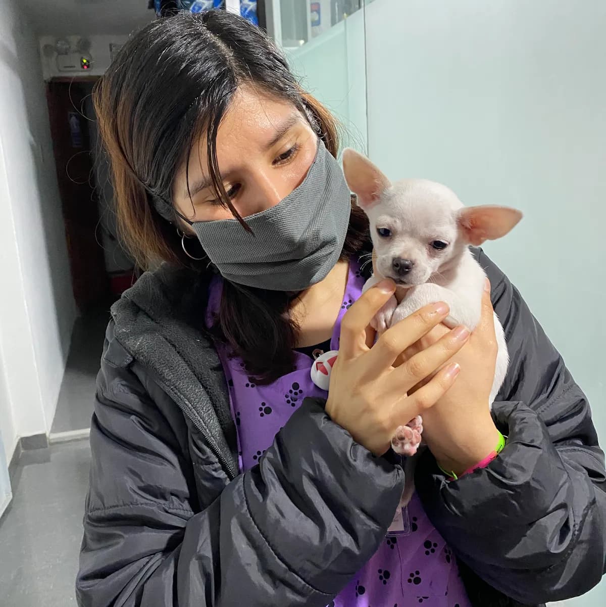 Clínica veterinaria Emervet